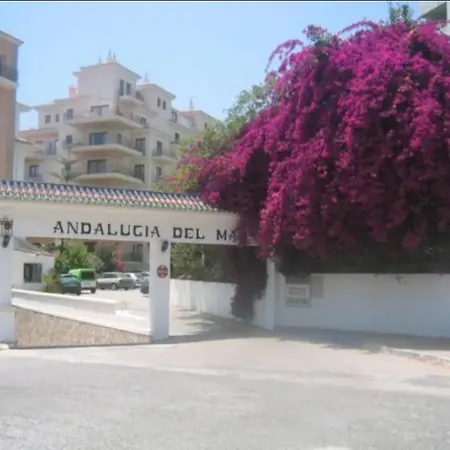 Lovely At Puerto Banus